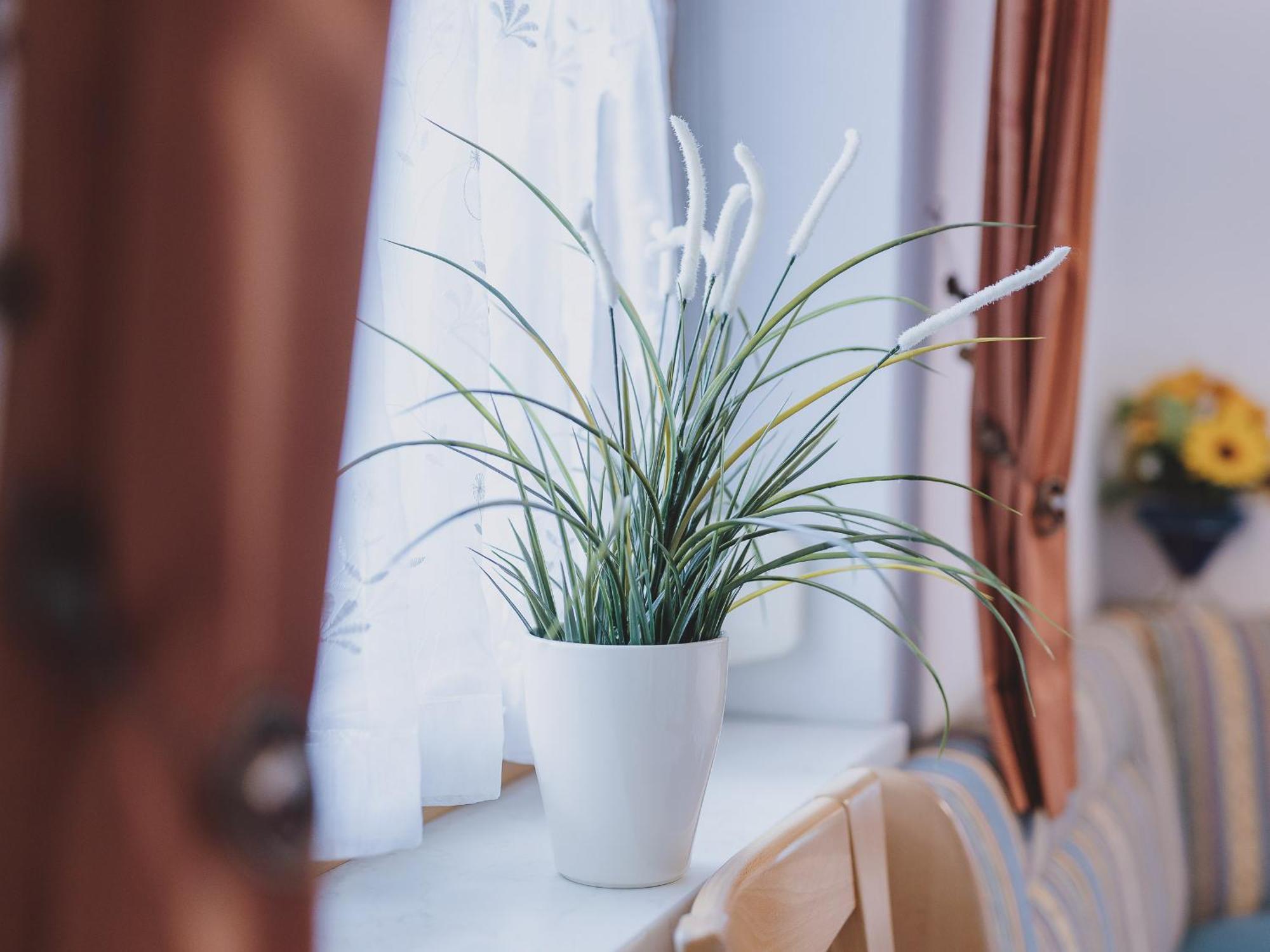 Lakeside Appartement Plattner By We Rent, Summercard Included 젤암제 외부 사진